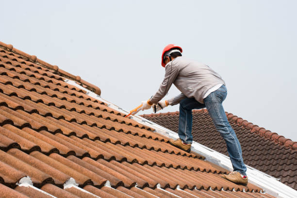 Best Roof Insulation Installation  in Torrance, CA